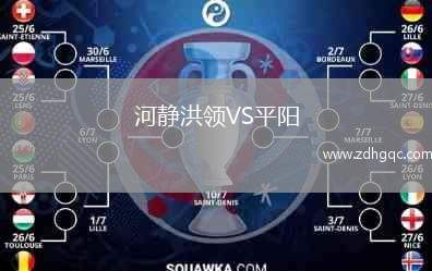 河靜洪領(lǐng)VS平陽
