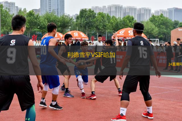 梅茲特海姆VS布勞維斯卡爾巴赫