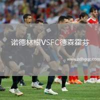 諾德林根VSFC德森霍芬
