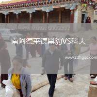 南阿德萊德黑豹VS科夫