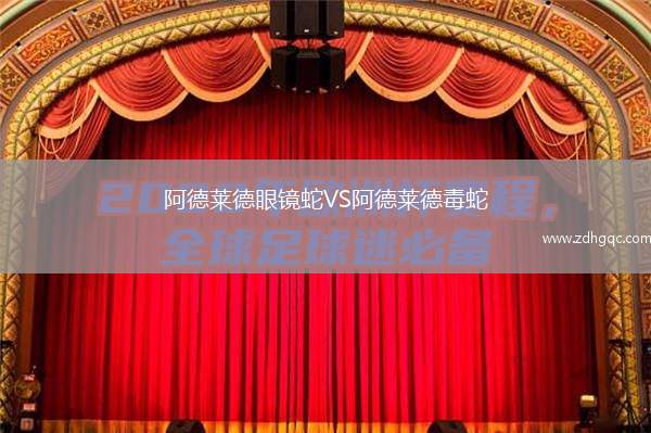 阿德萊德眼鏡蛇VS阿德萊德毒蛇