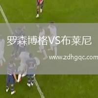 羅森博格VS布萊尼