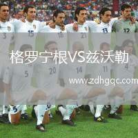 格羅寧根VS茲沃勒