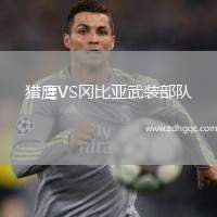 獵鷹VS岡比亞武裝部隊(duì)