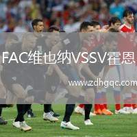 FAC維也納VSSV霍恩