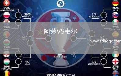 阿勞VS韋爾