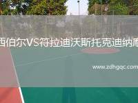西伯爾VS符拉迪沃斯托克迪納摩