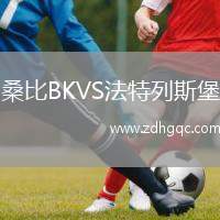 桑比BKVS法特列斯堡