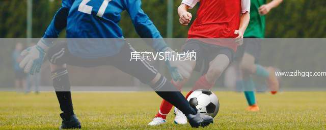 庫賓VS斯尼納