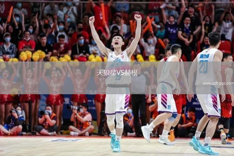 天狼星VS赫根