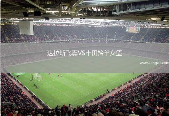 達(dá)拉斯飛翼VS豐田羚羊女籃