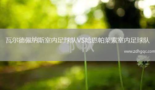 瓦爾德佩納斯室內(nèi)足球隊VS哈恩帕萊索室內(nèi)足球隊