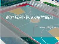 斯洛瓦科B隊(duì)VS布蘭斯科