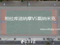 帕拉庫(kù)迪納摩VS戴納米克