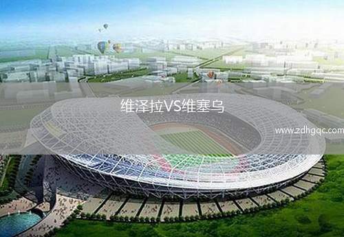 維澤拉VS維塞烏
