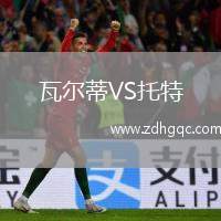 瓦爾蒂VS托特