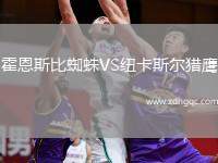 霍恩斯比蜘蛛VS紐卡斯?fàn)柅C鷹