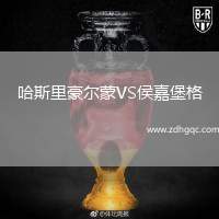 哈斯里豪爾蒙VS侯嘉堡格