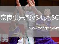 奈良俱樂(lè)部VS櫪木SC