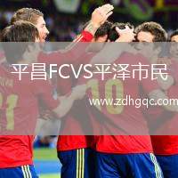平昌FCVS平澤市民