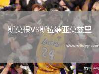斯莫根VS斯拉維亞莫茲里