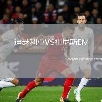 迪瑟利亞VS祖尼斯EM