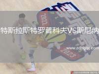 特斯拉斯特羅普科夫VS斯尼納
