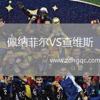 佩納菲爾VS查維斯