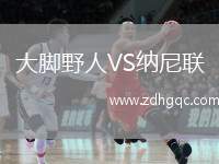 大腳野人VS納尼聯(lián)