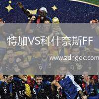 特加VS科什奈斯FF