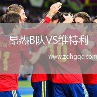 昂熱B隊VS維特利