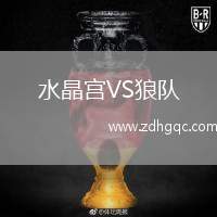 水晶宮VS狼隊