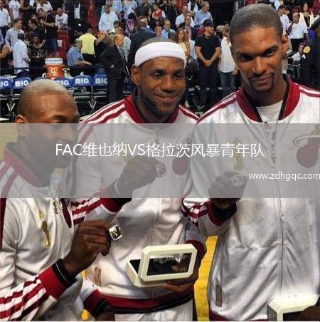 FAC維也納VS格拉茨風(fēng)暴青年隊(duì)