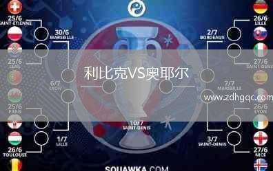 利比克VS奧耶爾