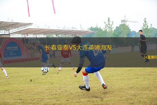納梅斯托沃VS索博塔
