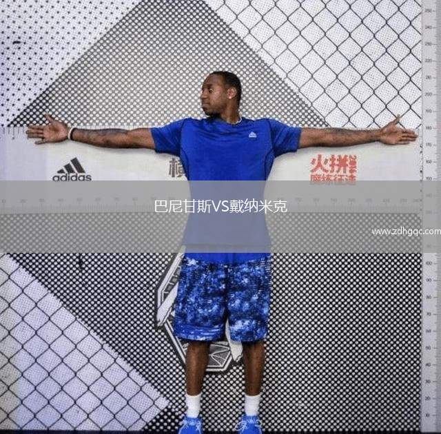 巴尼甘斯VS戴納米克