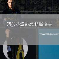 阿莎芬堡VS埃特斯多夫