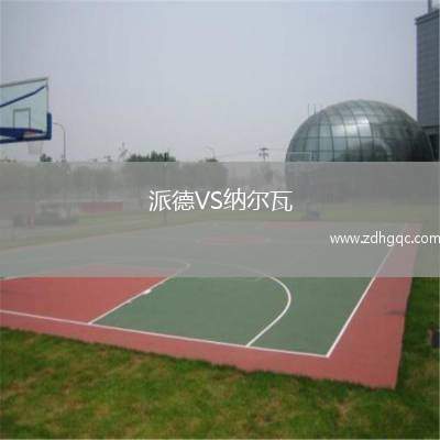 派德VS納爾瓦