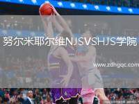 努爾米耶爾維NJSVSHJS學(xué)院