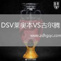 DSV萊奧本VS古爾騰