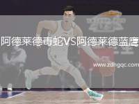 阿德萊德毒蛇VS阿德萊德藍(lán)鷹