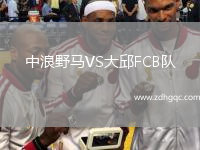 中浪野馬VS大邱FCB隊