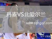 丹麥VS北愛爾蘭