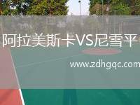 阿拉美斯卡VS尼雪平