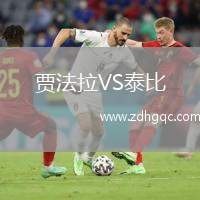 賈法拉VS泰比