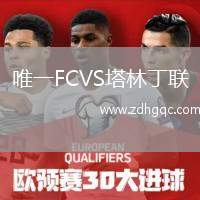 唯一FCVS塔林丁聯(lián)