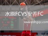 水原FCVS安養(yǎng)FC