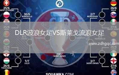 DLR波浪女足VS斯萊戈流浪女足