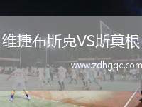 維捷布斯克VS斯莫根