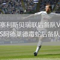 塞利斯貝瑞聯(lián)后備隊(duì)VS阿德萊德毒蛇后備隊(duì)